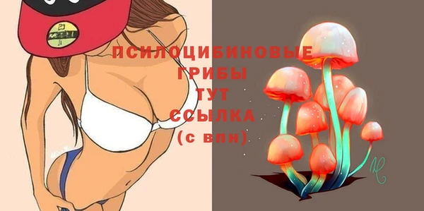mix Краснослободск