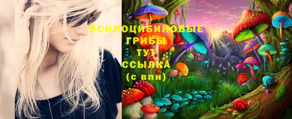mix Краснослободск